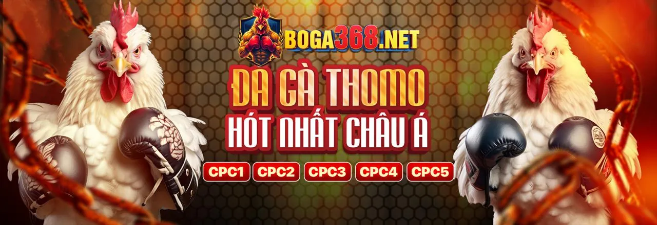 Hình ảnh tổng quan 6623galaxy link vào, cá cược thể thao và casino trực tuyến
